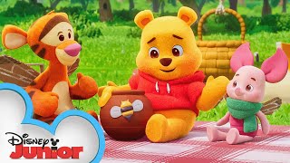 Playdate with Winnie the Pooh  Piglet Tigger and the Cardboard Box  Episode 4  disneyjr [upl. by Kaia]