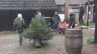 Firma Kerstboom in Waldervaart Schagen [upl. by Ezechiel]