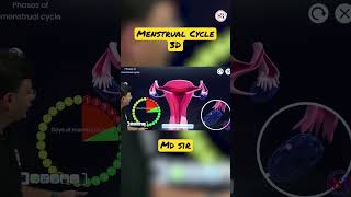 Menstrual Cycle 3D animation Class BY MD sir sankalpbharat ytshorts 3dclass biology neet [upl. by Ramraj878]