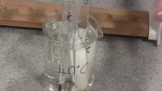 Enzyme Rate of Reaction Trypsin [upl. by Harrat]