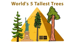 Top 10 Biggest Trees In The World  Travel Video [upl. by Debee510]