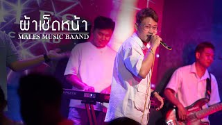 ผ้าเช็ดหน้า  MALES Bands [upl. by Jacobsen]