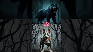 Black Russian Terrier vs English Bull Terrier Fight 👿 shorts [upl. by Avrit]