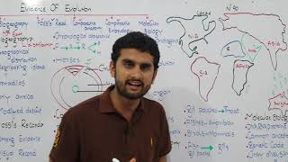 Ch24 Lec7 Evidence of Evolution UrduHindi Lecture Fsc MDCAT NCERT By M Bilal Chaudhary [upl. by Halihs264]