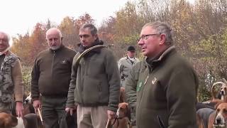 chasse au sanglier à lAbbaye du Val des Choues [upl. by Noslrac]