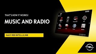 Navi 900 IntelliLink  Music and Radio  Thats How It Works [upl. by Buderus373]