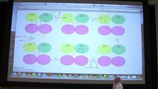 28 Biochemistry Citric Acid Cycle Lecture for Kevin Aherns BB 451551 [upl. by Feeley]