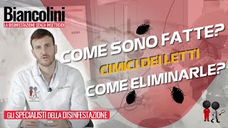 🔴​✔️​Cimici dei letti scopri come sono fatte e come eliminarle🔴​✔️​ [upl. by Hepsibah]