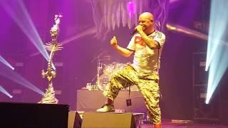 Five Finger Death Punch  Wrong Side Of Heaven LIVE in Hamburg 21112017 [upl. by Cita243]