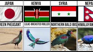 Part1 National Birds From Different Countries  National Birds With There Countries [upl. by Nauqet]