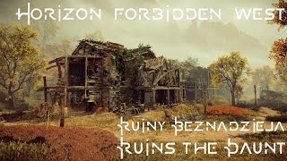 Horizon Forbidden West  Ruiny Beznadzieja  Ruins The Daunt [upl. by Earized119]