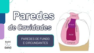 PAREDES E ÂNGULOS DE CAVIDADES  RESUMOS DE ODONTO [upl. by Trefler]