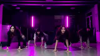 Automotivo Bibi Fogosa X Dance Cover  Trending Dance Challenge [upl. by Candra]