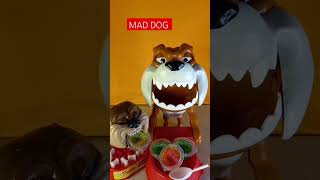 BEWARE OF MAD DOG WHILE FEEDING AND CHIWAWA BARK ANGRY ASMRshortsviral shortsvideo [upl. by Ynhoj]