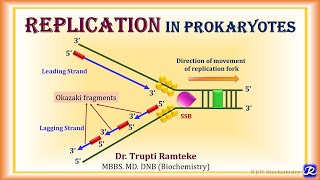 4 Replication in Prokaryotes  Molecular Biology Biochemistry  NJOY Biochemistry [upl. by Aihsemek]