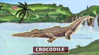 Play amp Learn Reptiles  Animated Series [upl. by Aihsekat]