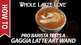 Pro Barista Uses a Gaggia Latte Art Pannarello Wand [upl. by Anoval]