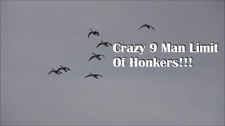 Minnesota Goose HuntingHonker smash fest 30 Birds [upl. by Airat]