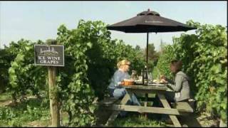 Wineries of Canadas Niagara Peninsula [upl. by Adnoral]