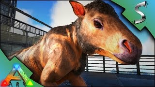 CHALICOTHERIUM BABY BREEDING  IMPRINTING  Ark Survival Evolved S2E70 [upl. by Eserehs]