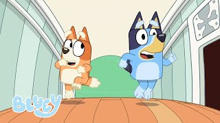 Bluey Temporada 1 Episodios Completos  Bluey 💙 Español Canal Oficial 🇪🇸 [upl. by Jenkel]