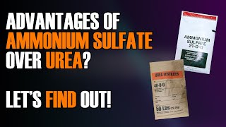 What are some benefits of ammonium sulfate compared to urea [upl. by Astera]