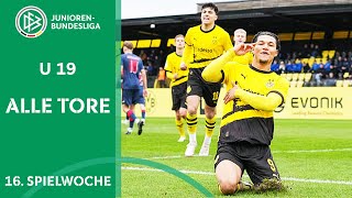 BVB gewinnt 71 Leipzig schlägt Wolfsburg  Alle Tore AJunioren Bundesliga Woche 16 [upl. by Assile]