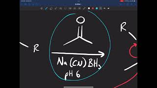 Carbonyls and Amines 2 Reducing Imines and Enamines [upl. by Emoryt]