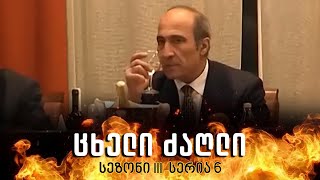 ცხელი ძაღლი  სეზონი 3 სერია 6 [upl. by Twyla]