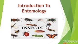 Introduction to entomology [upl. by Eiromem]