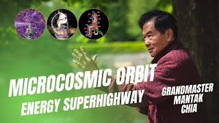 What is the microcosmic orbit Bodys energy superhighway explained by Grandmaster Mantak Chia [upl. by Ariaet983]