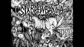 Six Brew Bantha  Intravenously Commodified LP 2014 [upl. by Arndt257]