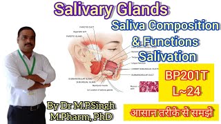 Salivary Glands  Saliva Composition  Salivation  Human Anatomy amp PhysiologyII  BP201T  L24 [upl. by Ydnyc]