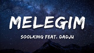 Soolking ft Dadju  Melegim  Paroles [upl. by Dnomyad]