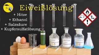 Eiweißlösung  Hitze  Salzsäure  Ethanol  Kupfersulfatlösung [upl. by Annahvas711]