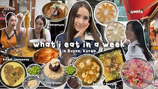 what i eat in a week in Korea aka what my Korean mom cooks for me korean food  family mukbang🌶️ [upl. by Stephenson]