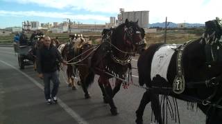 SANT ANTONI 2013 BENIFAIO [upl. by Snehpets]