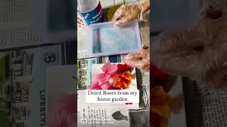 Dry flower for Resin how to use Silica gel Dry your own roses Resin art dry resin flowers [upl. by Llenaj128]