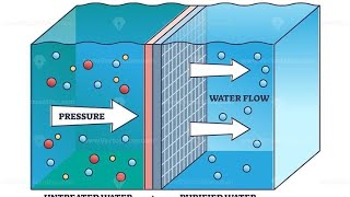 Body fluid compartments part 25  Osmosis Osmolarity Osmolality and Tonicity [upl. by Starkey]