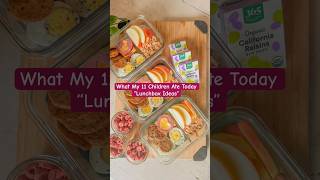 Feeding 11 Kids Healthy and Simple Lunch Box Ideas [upl. by Ahk]