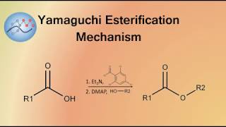 Yamaguchi Esterification Mechanism  Organic Chemistry [upl. by Nauqet]