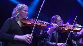 Noordpool Orkest amp Ruben Hein  Elephants [upl. by Aiet190]