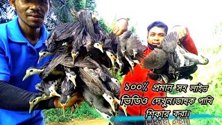 How to make waterhen dahuk bird trap huntingdahuk pakhir faddahuk pakhir dakhash dhora fad [upl. by Ollehto926]