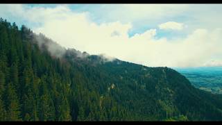 Jasinka  Slavic music of the fields  nyckelharpa and singing [upl. by Ymled]