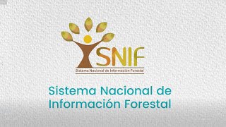 Sistema Nacional de Información Forestal  SNIF [upl. by Uttasta]