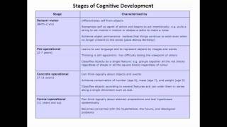 Piaget 1  5  Stages of Development [upl. by Nanine]