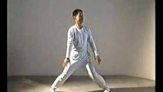 Kuan Yin Standing Qigong Part 2  Sheng Zhen [upl. by Merc279]