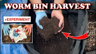 Harvest Every Time You Feed  Vermicompost Worm Farm [upl. by Ynnav621]