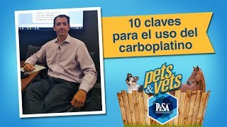 10 Claves Para El Uso Del Carboplatino con Martín Soberano [upl. by Eiramnaej568]