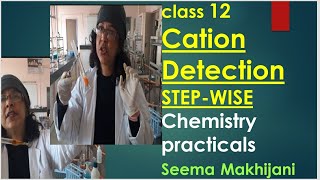 NEETJEE mains 2024 CATIONSTEP WISE in 15 minutes 2024 Chemistry PracticalsCBSE Class 11and12 [upl. by Schug]